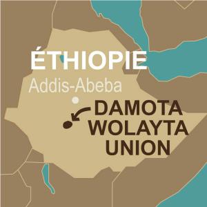 coopérative café éthiopie
